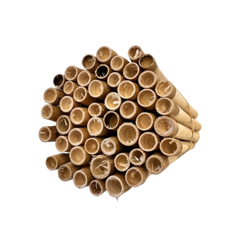 Load image into Gallery viewer, Spring Natural Reeds for Mason Bees - 8mm