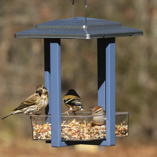 Fly-in Hanging Metal Fly Through Bird Feeder
