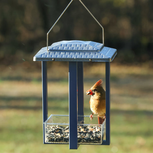 Fly-in Hanging Metal Fly Through Bird Feeder