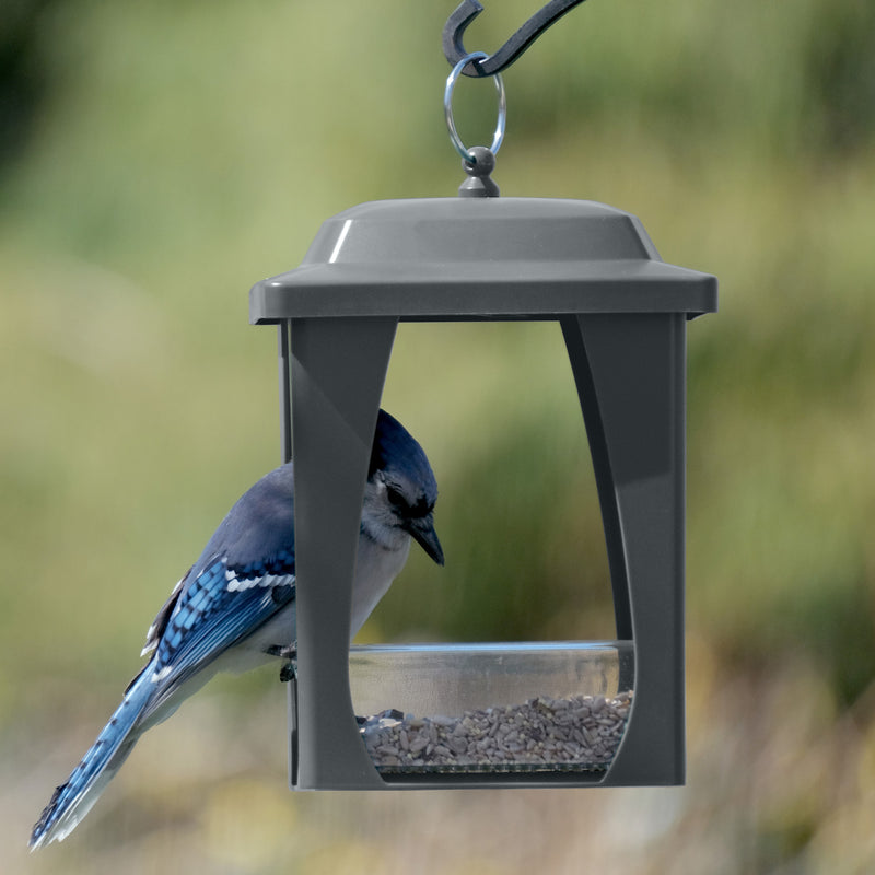 Load image into Gallery viewer, Dine-in Hanging Plastic Fly Through Bird Feeder - Grey