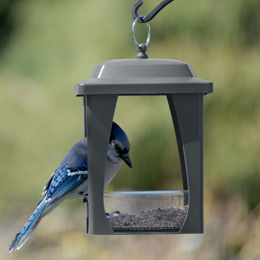 Dine-in Hanging Plastic Fly Through Bird Feeder - Grey