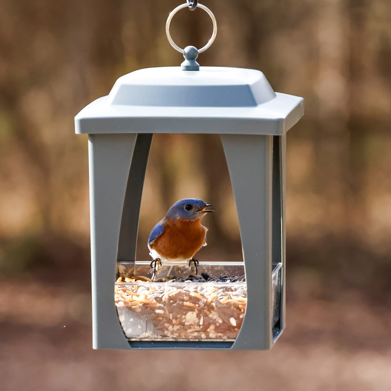 Load image into Gallery viewer, Dine-in Hanging Plastic Fly Through Bird Feeder - Grey