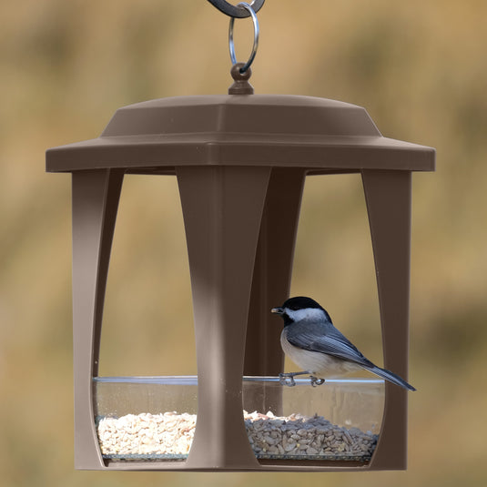 Dine-in Hanging Plastic Fly Through Bird Feeder - Tan