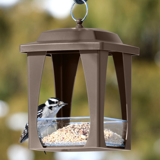 Dine-in Hanging Plastic Fly Through Bird Feeder - Tan
