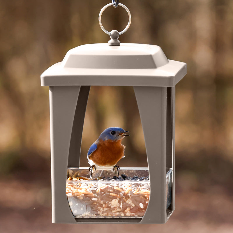 Load image into Gallery viewer, Dine-in Hanging Plastic Fly Through Bird Feeder - Tan