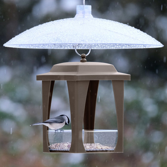 Dine-in Hanging Plastic Fly Through Bird Feeder - Tan