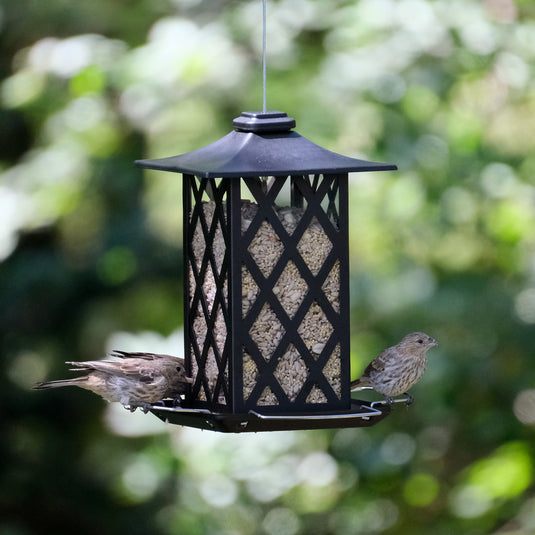Contemporary Lantern Gazebo Bird Feeder