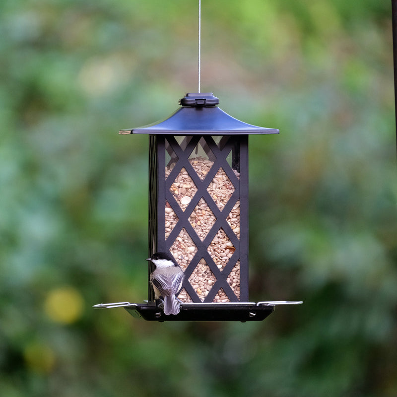 Load image into Gallery viewer, Contemporary Lantern Metal Gazebo Bird Feeder