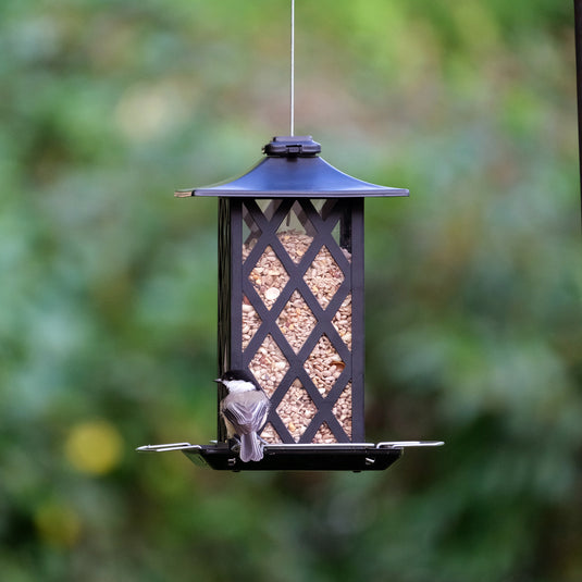 Contemporary Lantern Gazebo Bird Feeder
