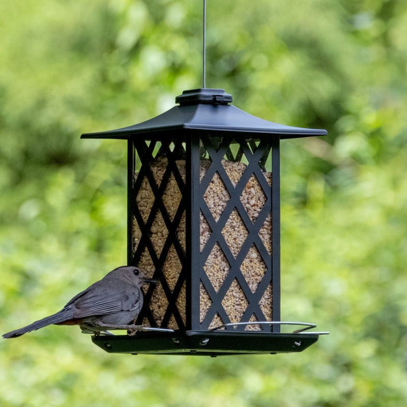 Load image into Gallery viewer, Contemporary Lantern Gazebo Bird Feeder