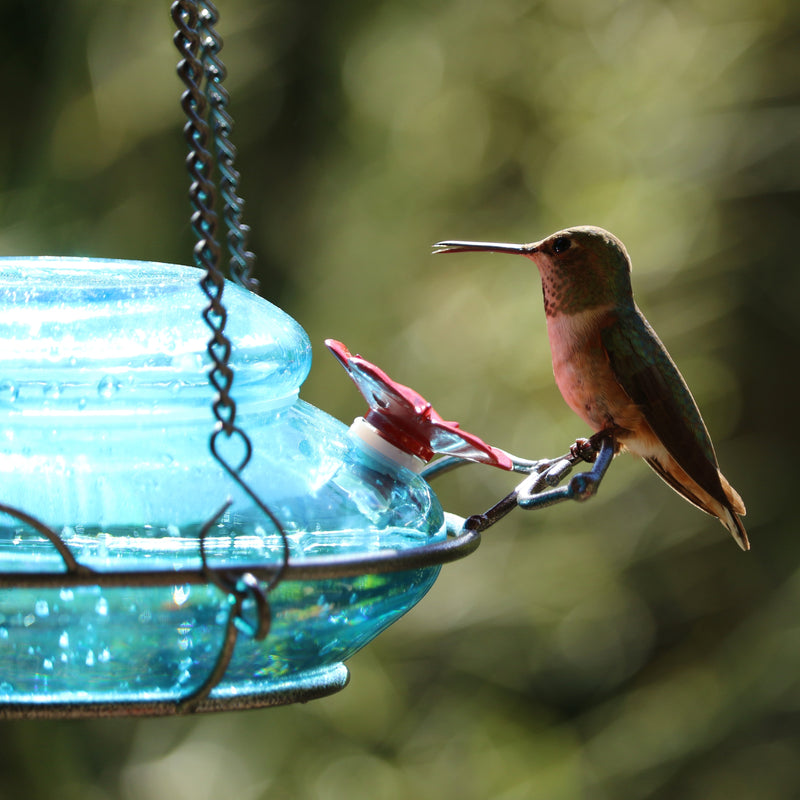 Load image into Gallery viewer, Mason Jar Blue Handblown Glass Top-Fill Dish Hummingbird Feeder