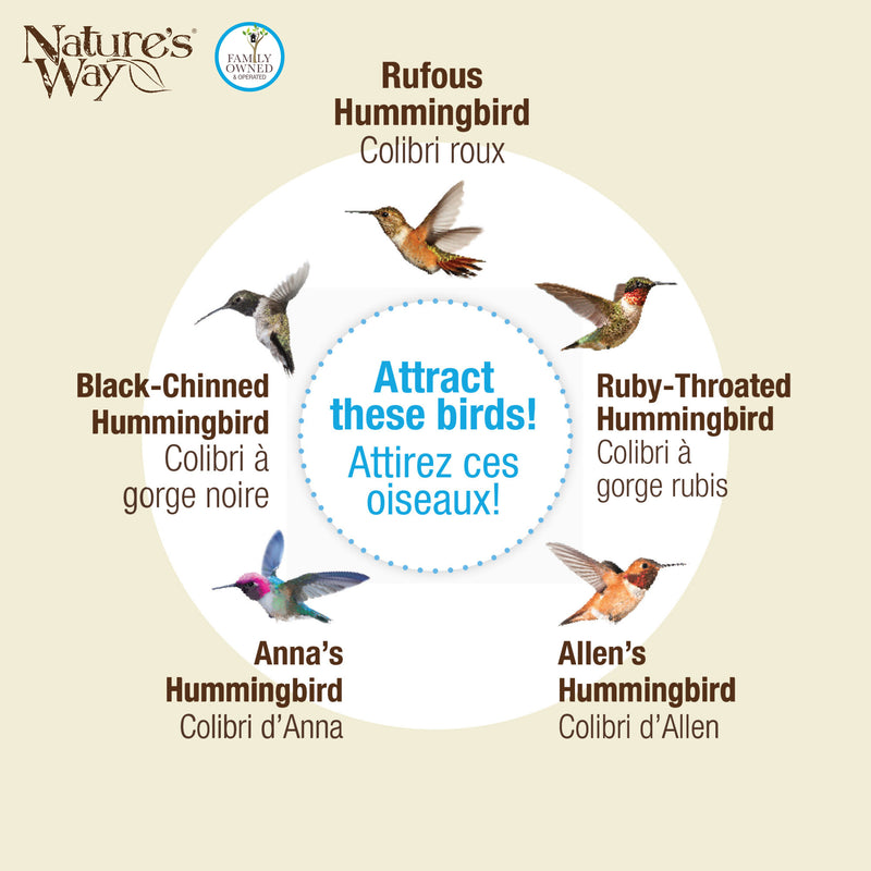 Load image into Gallery viewer, Mason Jar Blue Handblown Glass Top-Fill Dish Hummingbird Feeder