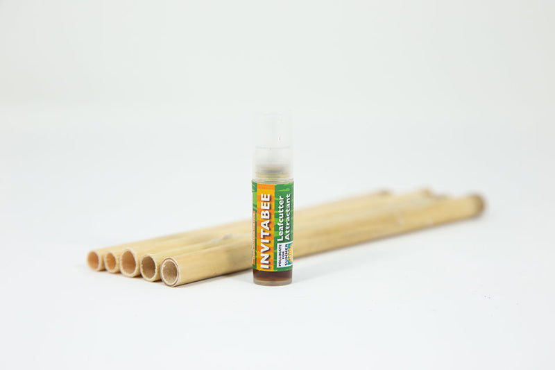 Load image into Gallery viewer, InvitaBee Leafcutter Bee Attractant
