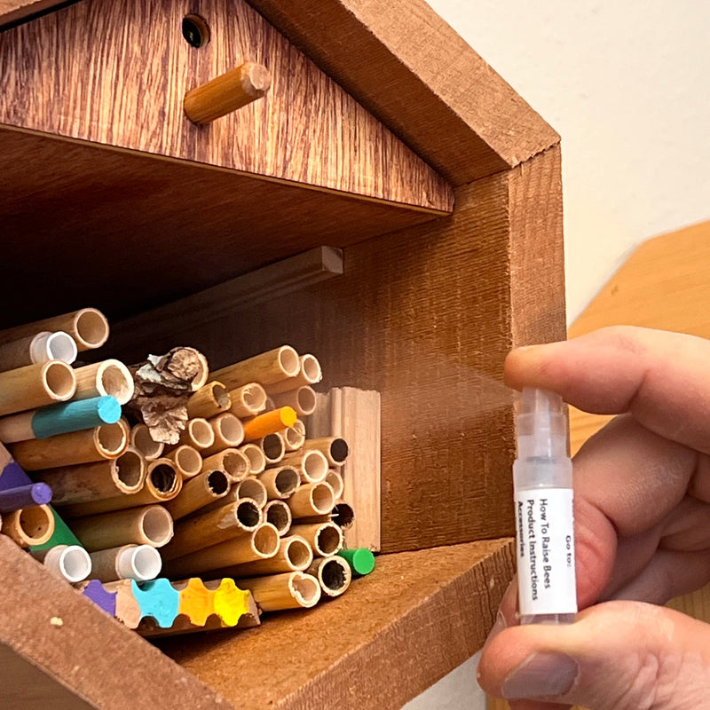 Load image into Gallery viewer, InvitaBee Mason Bee Attractant