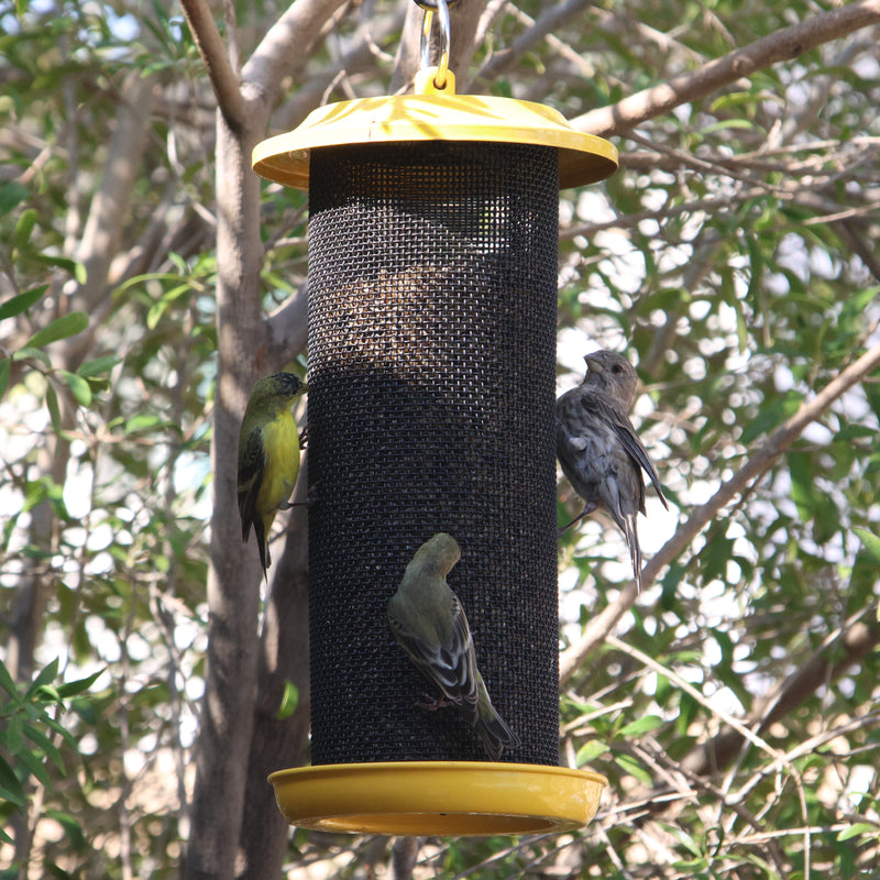 Load image into Gallery viewer, Sunglow Metal Mesh Thistle Bird Feeder