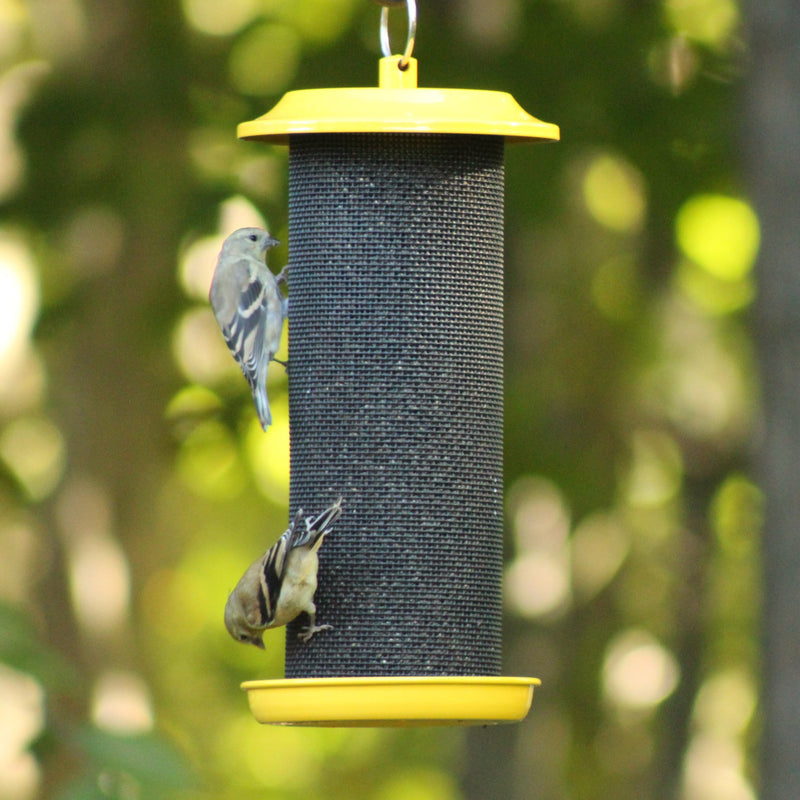 Load image into Gallery viewer, Sunglow Metal Mesh Thistle Bird Feeder