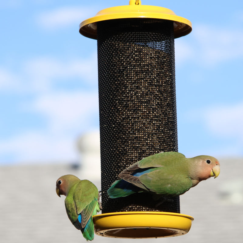 Load image into Gallery viewer, Sunglow Metal Mesh Thistle Bird Feeder