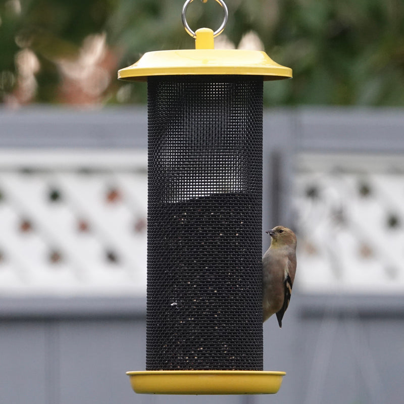 Load image into Gallery viewer, Sunglow Metal Mesh Thistle Bird Feeder
