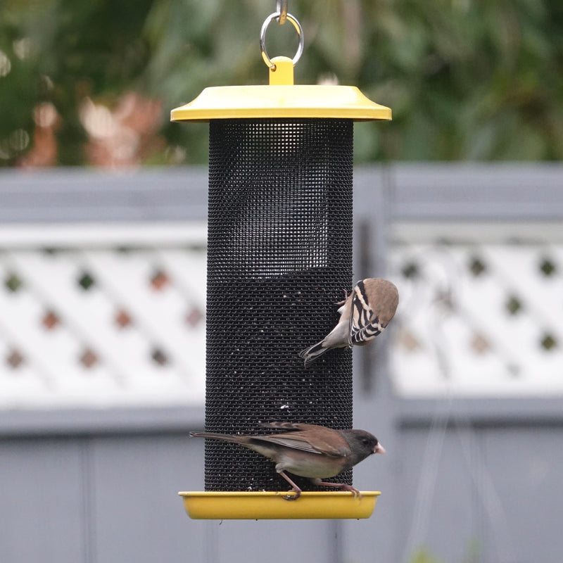 Load image into Gallery viewer, Sunglow Metal Mesh Thistle Bird Feeder