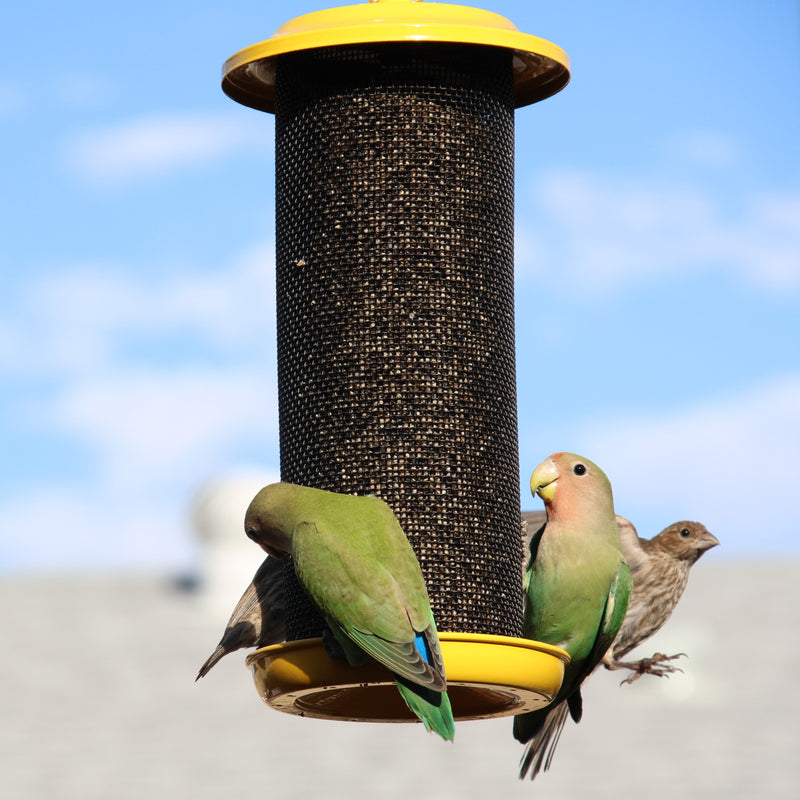 Load image into Gallery viewer, Sunglow Metal Mesh Thistle Bird Feeder