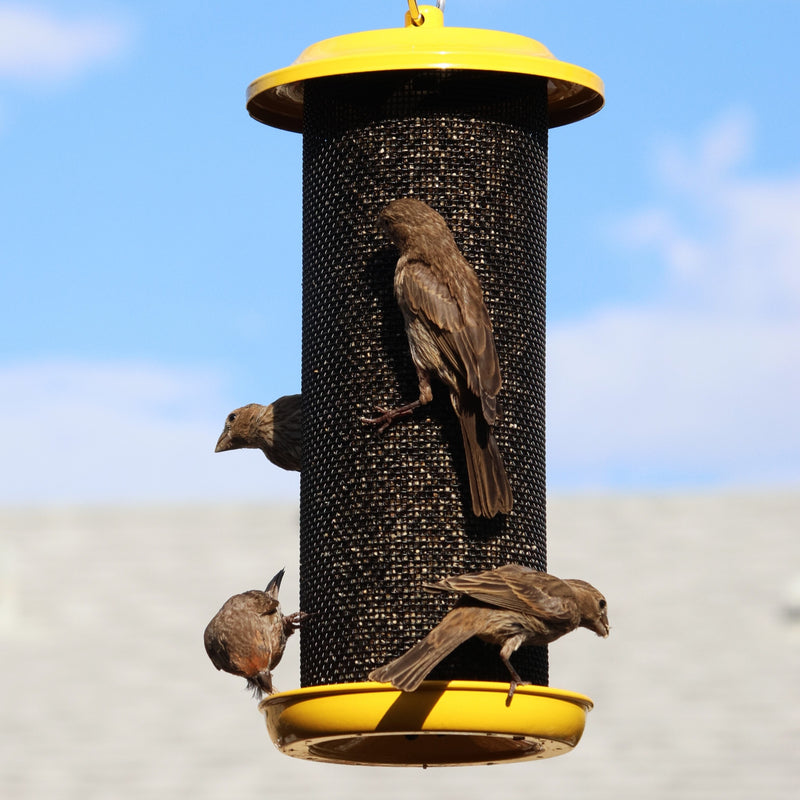 Load image into Gallery viewer, Sunglow Metal Mesh Thistle Bird Feeder