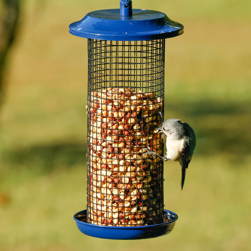 Load image into Gallery viewer, Cobalt Metal Mesh Mixed Seed and Peanut Bird Feeder