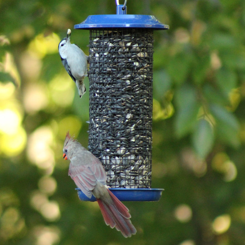 Load image into Gallery viewer, Cobalt Metal Mesh Mixed Seed and Peanut Bird Feeder