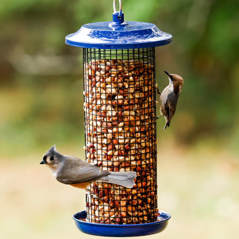 Load image into Gallery viewer, Cobalt Metal Mesh Mixed Seed and Peanut Bird Feeder