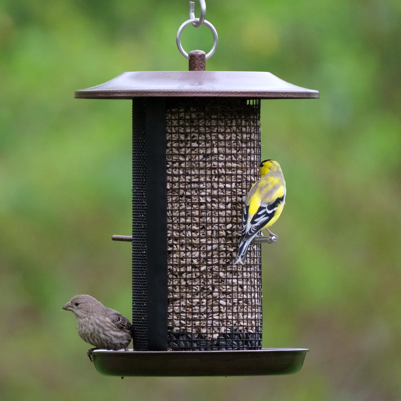 Load image into Gallery viewer, Beloved Bronze Dual-Chamber Metal Mesh Bird Feeder