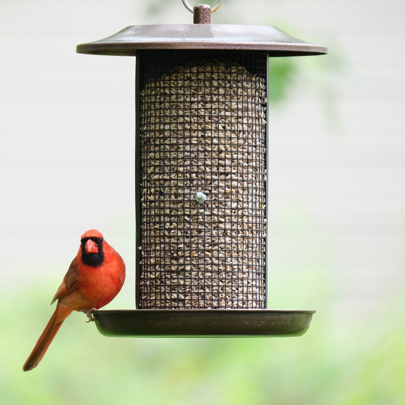 Load image into Gallery viewer, Beloved Bronze Dual-Chamber Metal Mesh Bird Feeder