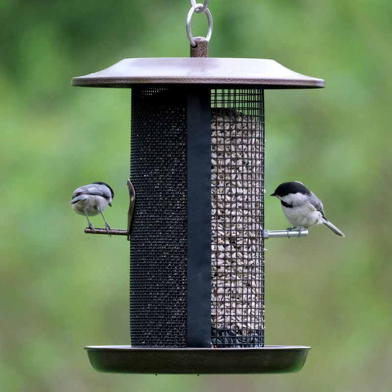 Load image into Gallery viewer, Beloved Bronze Dual-Chamber Metal Mesh Bird Feeder