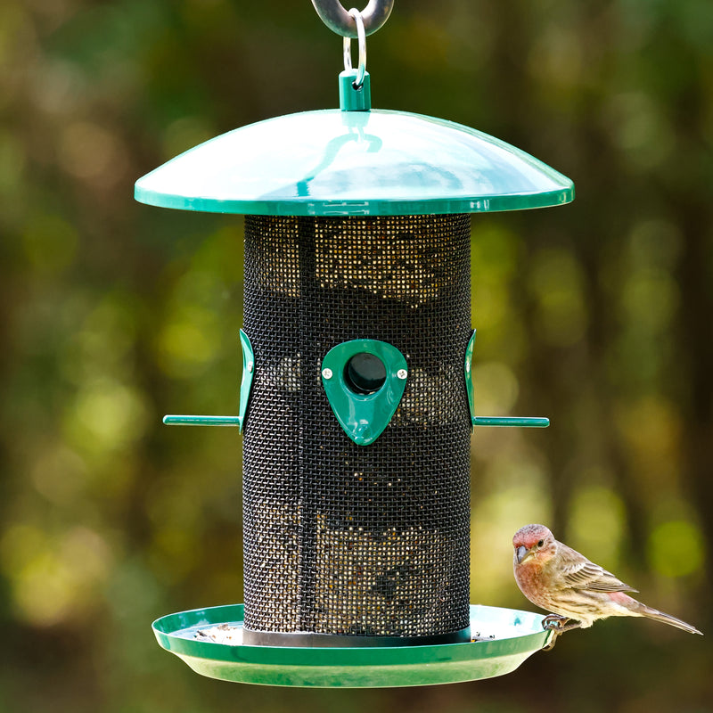 Load image into Gallery viewer, Perch If You Please Verdigris Metal Mesh Mixed Seed Bird Feeder