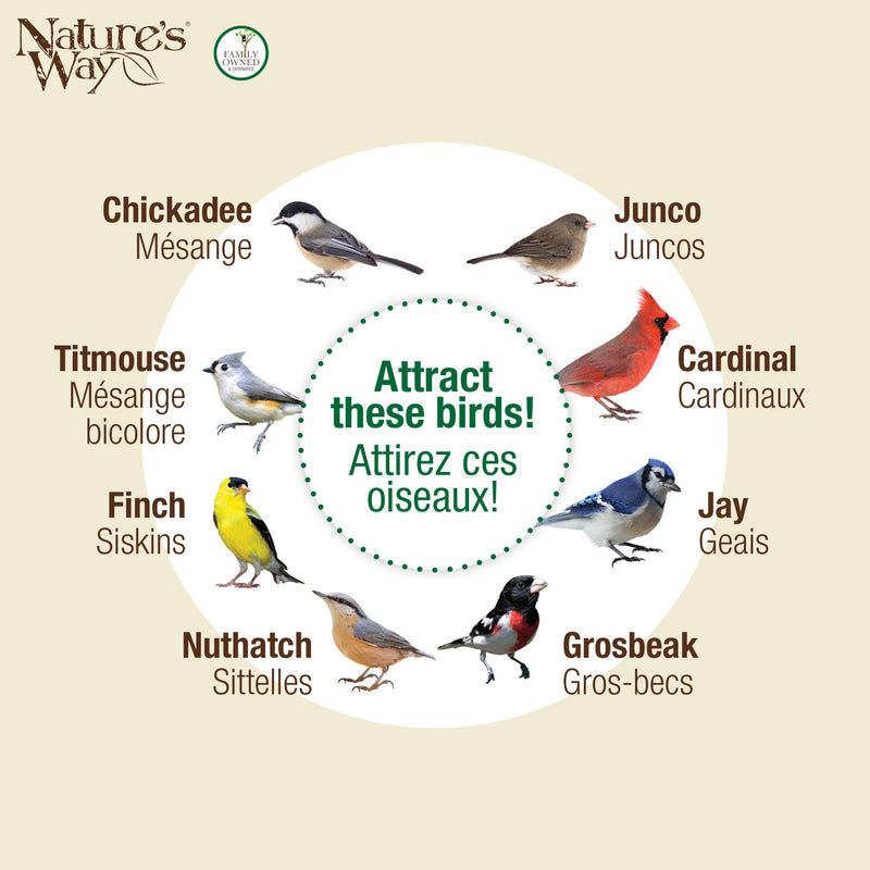 Load image into Gallery viewer, Perch If You Please Verdigris Metal Mesh Mixed Seed Bird Feeder