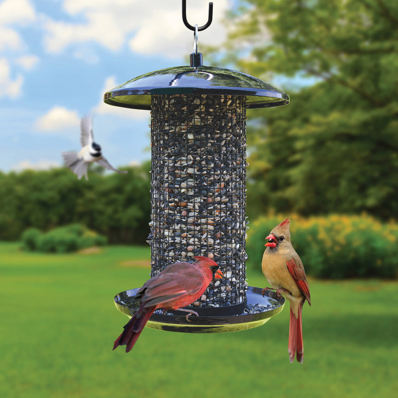 Load image into Gallery viewer, Midnight Metal Mesh Mixed Seed and Peanut Bird Feeder
