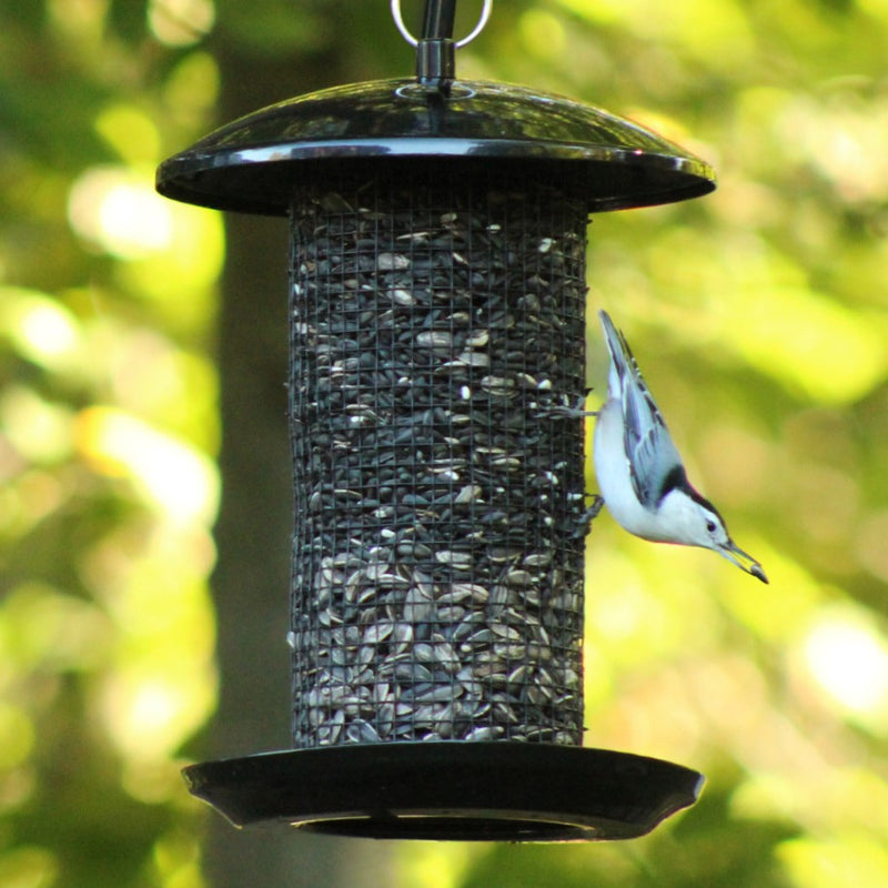 Load image into Gallery viewer, Midnight Metal Mesh Mixed Seed and Peanut Bird Feeder