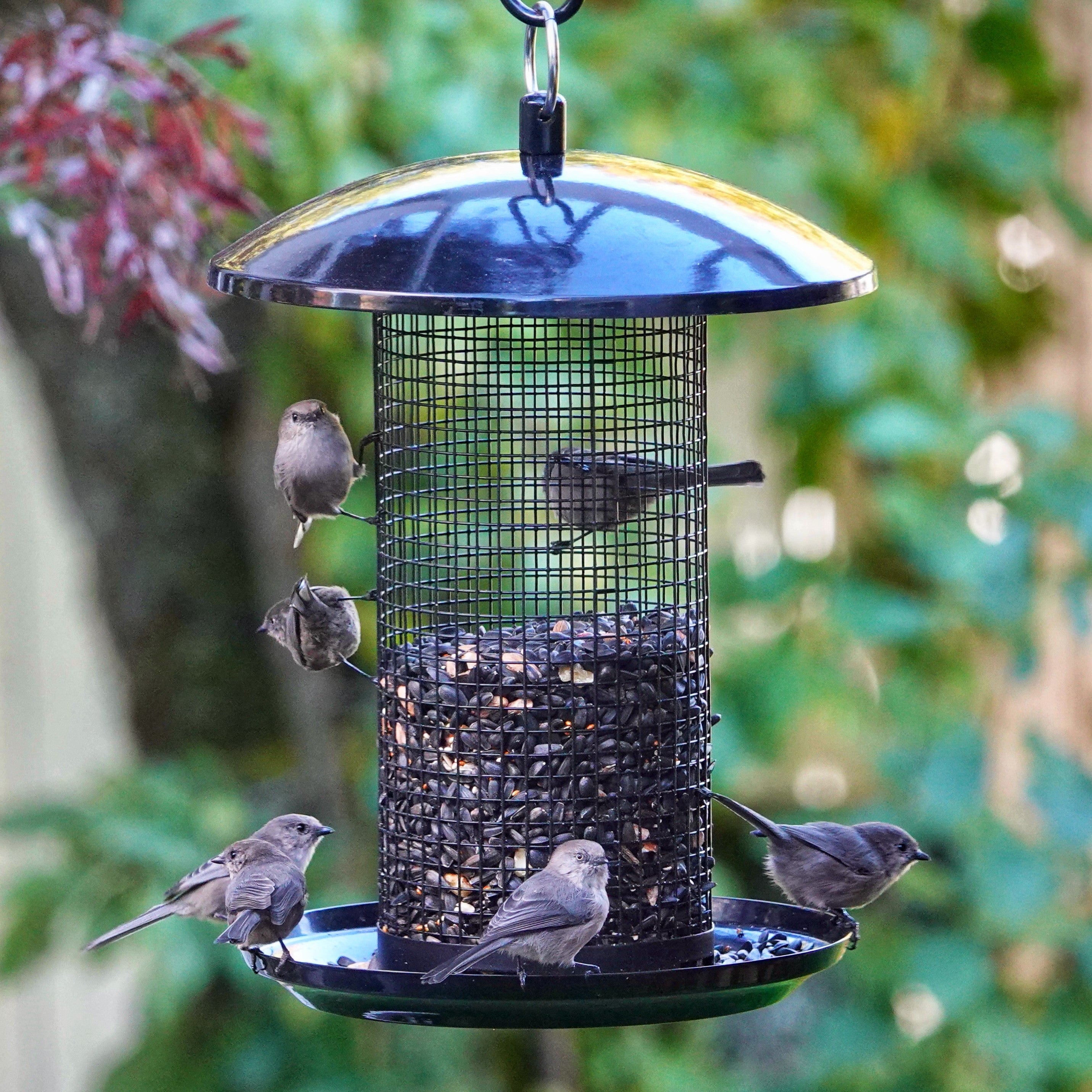 Midnight Metal Mesh Mixed Seed and Peanut Bird Feeder – Nature's