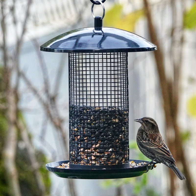 Load image into Gallery viewer, Midnight Metal Mesh Mixed Seed and Peanut Bird Feeder
