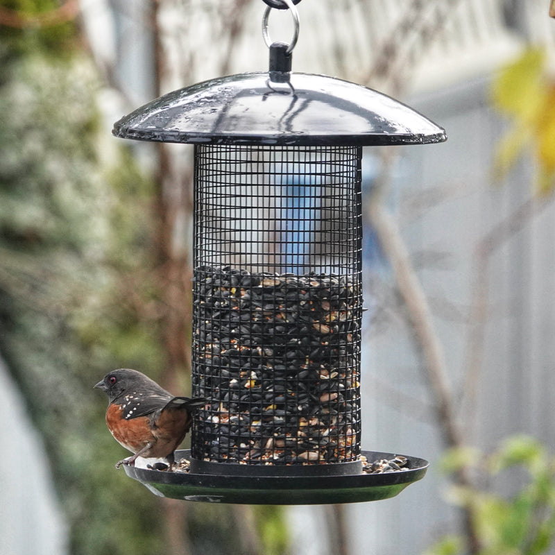 Load image into Gallery viewer, Midnight Metal Mesh Mixed Seed and Peanut Bird Feeder