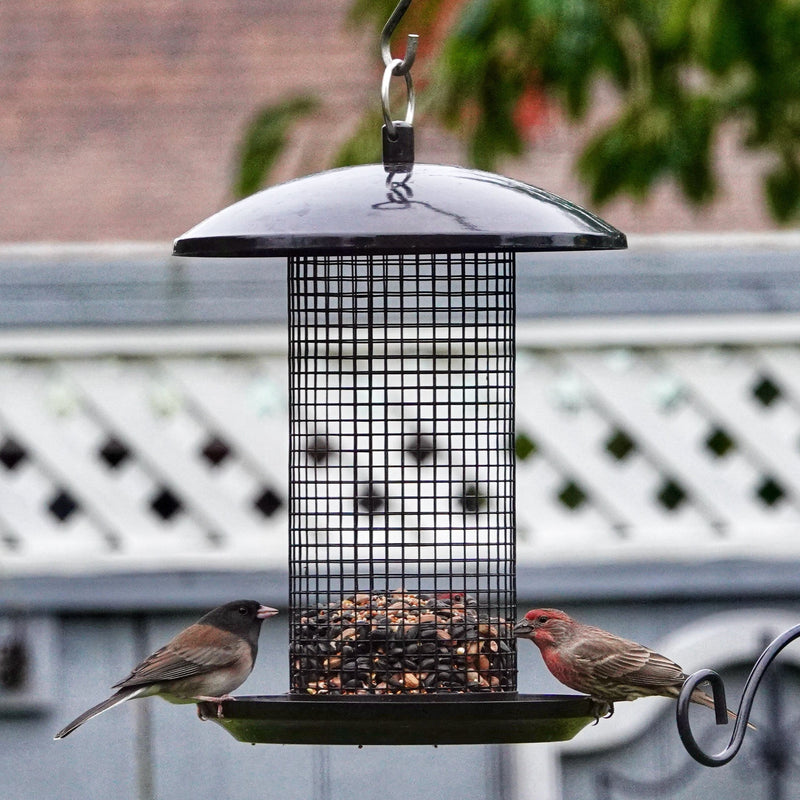 Load image into Gallery viewer, Midnight Metal Mesh Mixed Seed and Peanut Bird Feeder