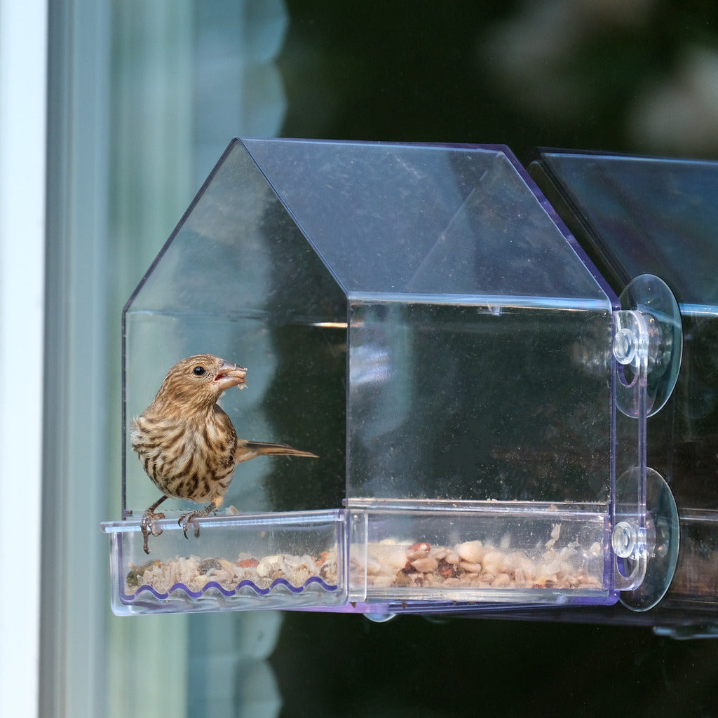 ClearView Deluxe Window Bird Feeder (Clear Tray)