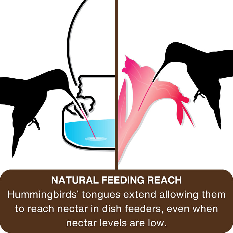 Load image into Gallery viewer, Mason Jar Glass Top-Fill Dish Hummingbird Feeder