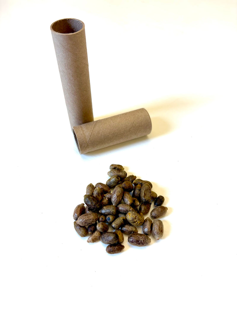 Load image into Gallery viewer, Spring Mason Bees