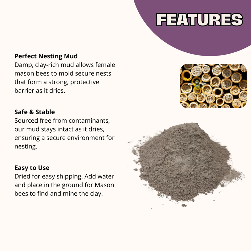 Load image into Gallery viewer, Spring Mason Bee Mud Box