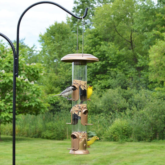 How to hang a bird feeder