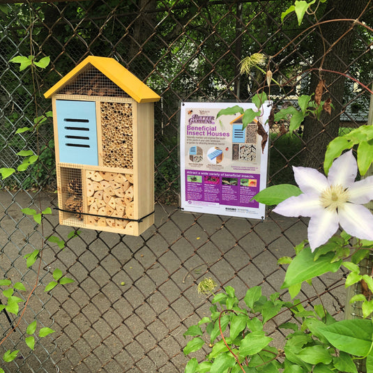 Local Community Garden Insect House Installations