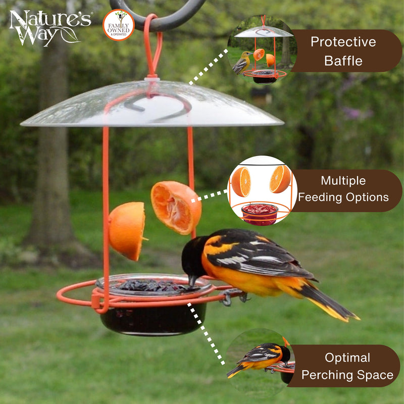 Load image into Gallery viewer, Wire and Glass Oriole Feeder W/ Protective Baffle