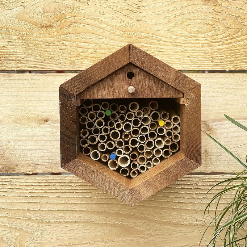 Load image into Gallery viewer, Cabana Bee House - Small Hex