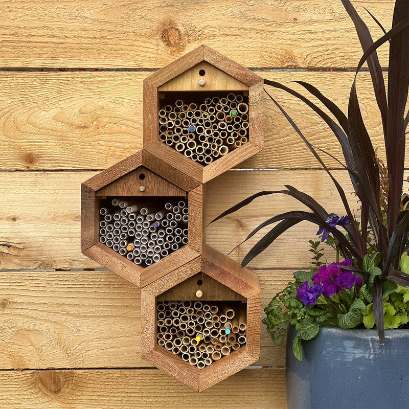 Load image into Gallery viewer, Cabana Bee House - Small Hex