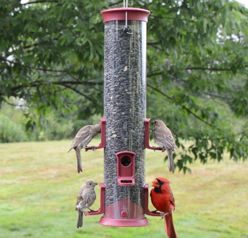 Load image into Gallery viewer, Large Plastic Tube Bird Feeder - Red