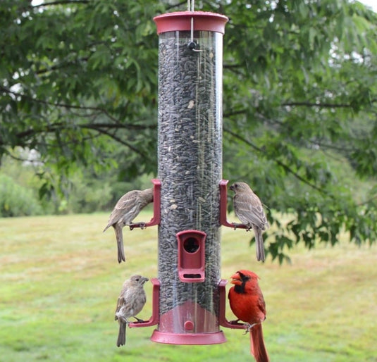 Large Plastic Tube Bird Feeder - Red
